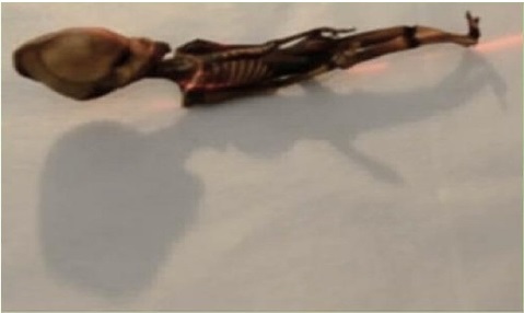 Adevărul despre extratereştri - Dezvăluirea este foarte aproape