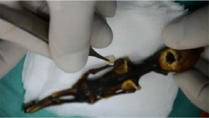 Adevărul despre extratereştri - Dezvăluirea este foarte aproape