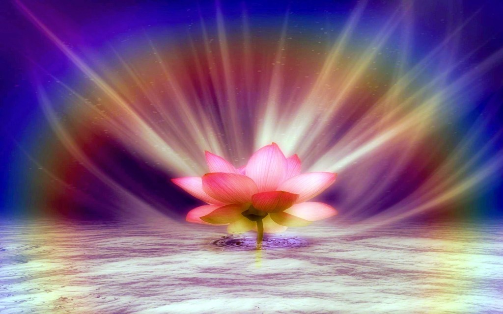 ADEVĂRUL CARE TE FACE LIBER