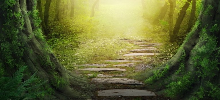 SCHIMBÂND GÂNDIREA, ÎŢI SCHIMBI VIAŢA