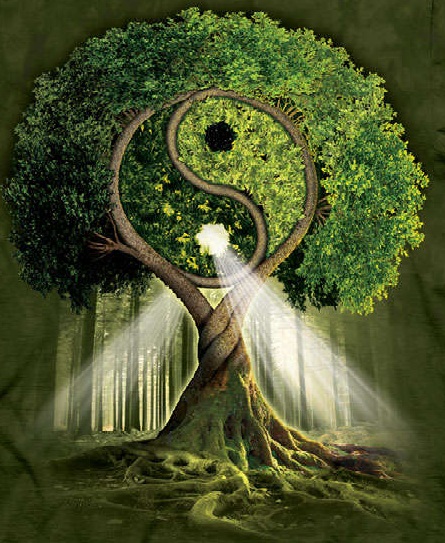 Cunoaştere / Ignoranţă