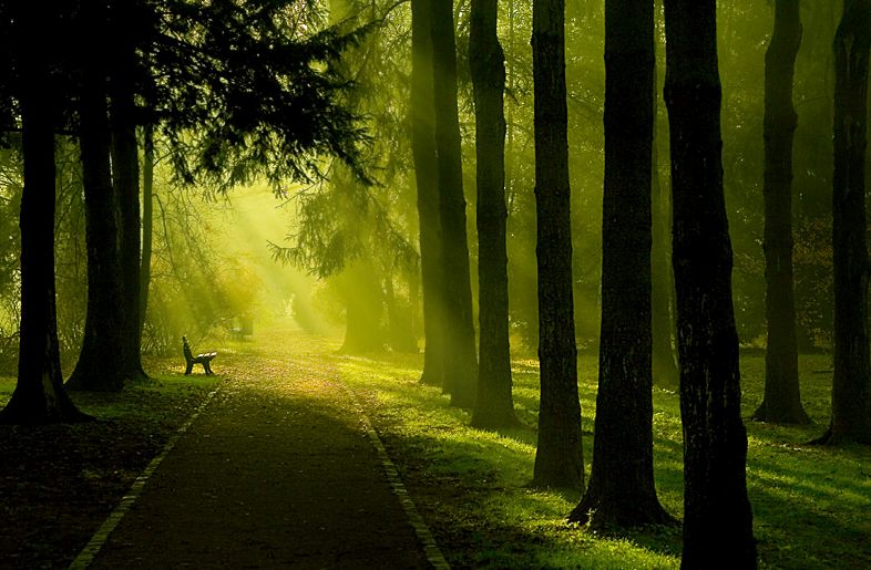 Autoblestemul - ”Sunt dăunătoare chiar și unele fraze pe care le spui zi de zi”