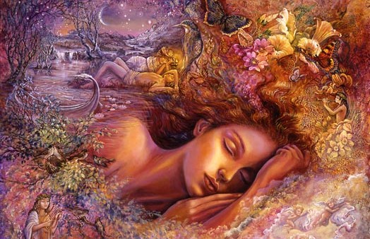 Legea şi operarea ei