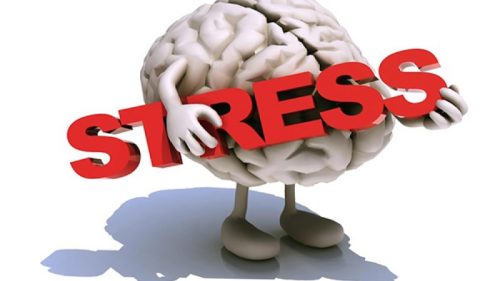 Reacţia la stres - cum conduce la boli majore