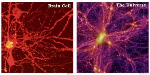 Creierul se modelează în funcție de ceea ce gândim!