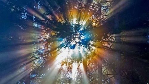 Credinţa şi confirmarea ei - aspecte ale vieţii care confirma credinţa