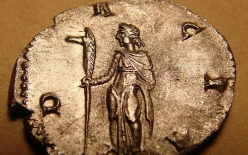 Cele mai puternice plante vindecătoare ale strămoşilor noştri