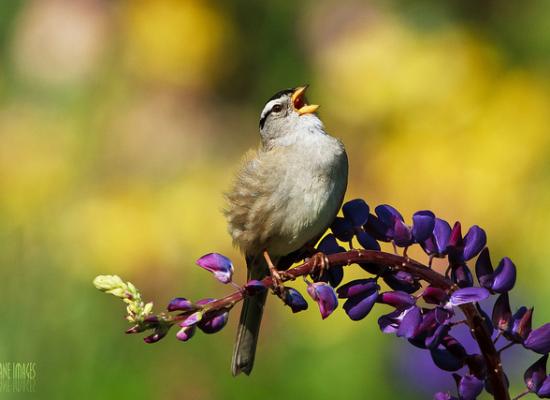 ELIBERĂRILE DE CARE AVEM NEVOIE
