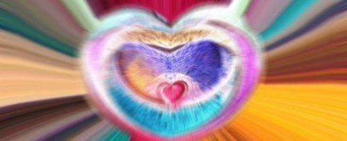 Inima iniţiatică - Iniţiaţii vorbesc despre inteligenţa inimii