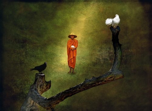 Conştientizarea propriilor Emoţii - concentrarea asupra emoţilor