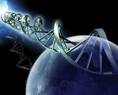 Influenţa cuvintelor asupra ADN-ULUI - recente cercetări ruseşti