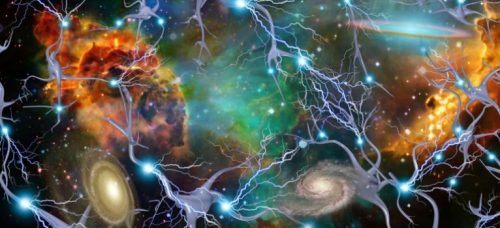 Afirmatiile şi Mintea - dintr-o samanţa va rasari o planta