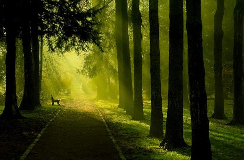 Autoblestemul - Omul își alege propriul destin