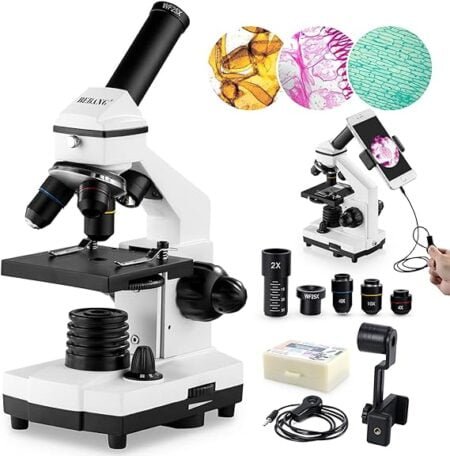 Everything You Need to About the Bebang Compound Microscope