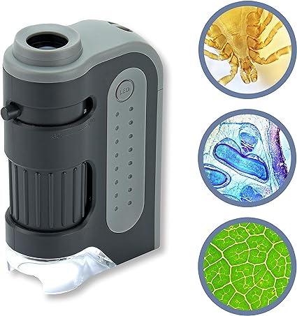 Everything You Need to Know About Mini Microscopes