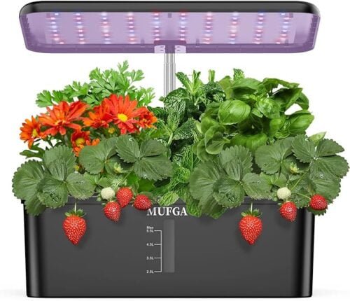 The Ultimate Guide to Herb Garden Hydroponics Growing System